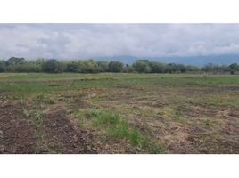  Land for sale in El Cerrito, Valle Del Cauca, El Cerrito