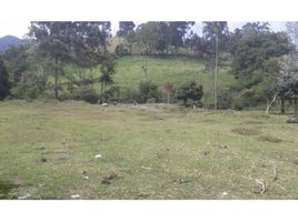  Land for sale in Sabaneta, Antioquia, Sabaneta