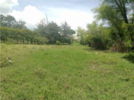  Land for sale in El Carmen De Viboral, Antioquia, El Carmen De Viboral