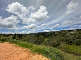  Terreno (Parcela) en venta en Guarne, Antioquia, Guarne, Antioquia, Colombia