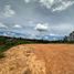  Terreno (Parcela) en venta en Guarne, Antioquia, Guarne, Antioquia, Colombia