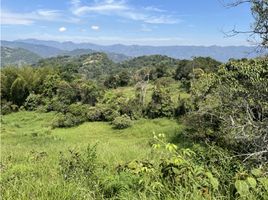 Estudio Villa en venta en Villeta, Cundinamarca, Villeta