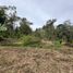 Terrain à vendre à Rionegro, Antioquia, Rionegro