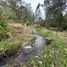 Terrain à vendre à Rionegro, Antioquia, Rionegro