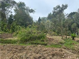 Terrain à vendre à Rionegro, Antioquia, Rionegro