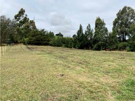  Terreno (Parcela) en venta en San Pedro De Los Milagros, Antioquia, San Pedro De Los Milagros