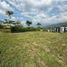  Land for sale in Santander, Floridablanca, Santander