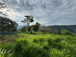  Grundstück zu verkaufen in Bolivar, Antioquia, Bolivar, Antioquia