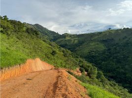  Terreno (Parcela) en venta en Bolivar, Antioquia, Bolivar