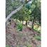 Land for sale in Guarne, Antioquia, Guarne, Antioquia