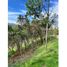 Land for sale in Guarne, Antioquia, Guarne, Antioquia