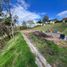  Land for sale in Guarne, Antioquia, Guarne, Antioquia