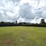 Terrain à vendre à La Ceja, Antioquia, La Ceja, Antioquia