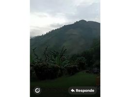 Studio Villa for sale in Colombia, Manizales, Caldas, Colombia