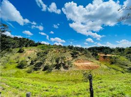  Terreno (Parcela) en venta en Sonson, Antioquia, Sonson