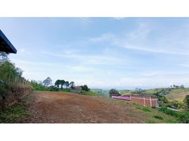  Land for sale in Pereira, Risaralda, Pereira