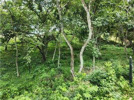  Land for sale in San Jeronimo, Antioquia, San Jeronimo