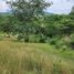  Land for sale in San Jeronimo, Antioquia, San Jeronimo