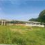  Land for sale in El Carmen De Bolivar, Bolivar, El Carmen De Bolivar