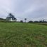  Land for sale in Pereira, Risaralda, Pereira