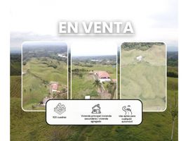 9 Bedroom House for sale in Quindio, Salento, Quindio