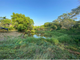  Terrain for sale in Bolivar, Cartagena, Bolivar