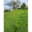  Land for sale in Valle Del Cauca, Jamundi, Valle Del Cauca