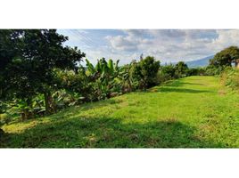  Terreno (Parcela) en venta en Risaralda, Dosquebradas, Risaralda