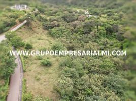  Land for sale in Puente Colgante De Occidente, Olaya, Santa Fe De Antioquia