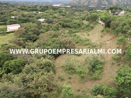  Land for sale in Puente Colgante De Occidente, Olaya, Santa Fe De Antioquia