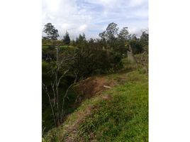 Terrain à vendre à Rionegro, Antioquia, Rionegro, Antioquia
