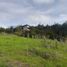 Terrain à vendre à Rionegro, Antioquia, Rionegro, Antioquia