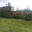 Terrain à vendre à Rionegro, Antioquia, Rionegro, Antioquia