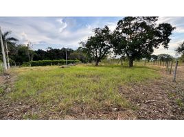  Land for sale in Palmira, Valle Del Cauca, Palmira