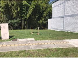  Land for sale in Rionegro, Antioquia, Rionegro