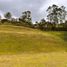  Terrain for sale in Rionegro, Antioquia, Rionegro