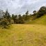  Land for sale in Rionegro, Antioquia, Rionegro