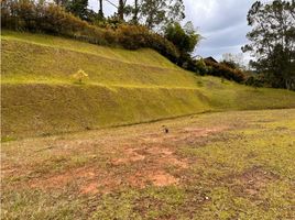  Land for sale in Rionegro, Antioquia, Rionegro