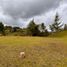  Terrain for sale in Rionegro, Antioquia, Rionegro