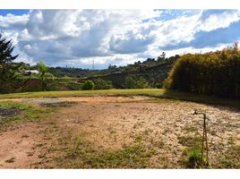  Land for sale in Rionegro, Antioquia, Rionegro