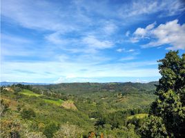  Terreno (Parcela) en venta en Guarne, Antioquia, Guarne