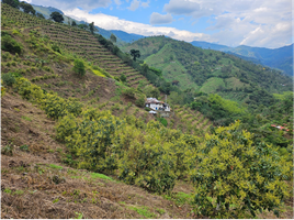 Estudio Villa en venta en Colombia, Pijao, Quindio, Colombia