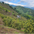Studio Villa for sale in Pijao, Quindio, Pijao, Quindio
