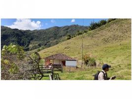 Estudio Casa en venta en Colombia, San Roque, Antioquia, Colombia