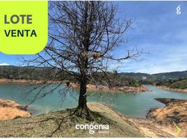  Terreno (Parcela) en venta en Guatape, Antioquia, Guatape