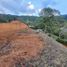  Land for sale in Guarne, Antioquia, Guarne