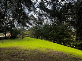  Land for sale in El Carmen De Viboral, Antioquia, El Carmen De Viboral