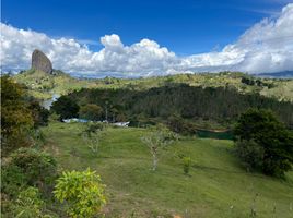  Terreno (Parcela) en venta en Guatape, Antioquia, Guatape