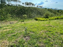  Terreno (Parcela) en venta en Ulloa, Valle Del Cauca, Ulloa