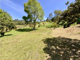  Grundstück zu verkaufen in Rionegro, Antioquia, Rionegro, Antioquia